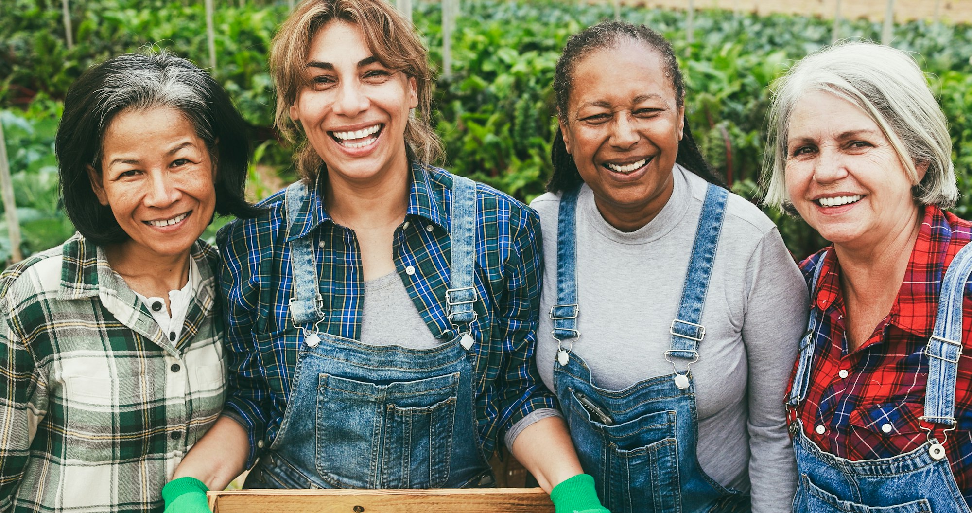 Multiracial senior women smiling in front of camera inside farm