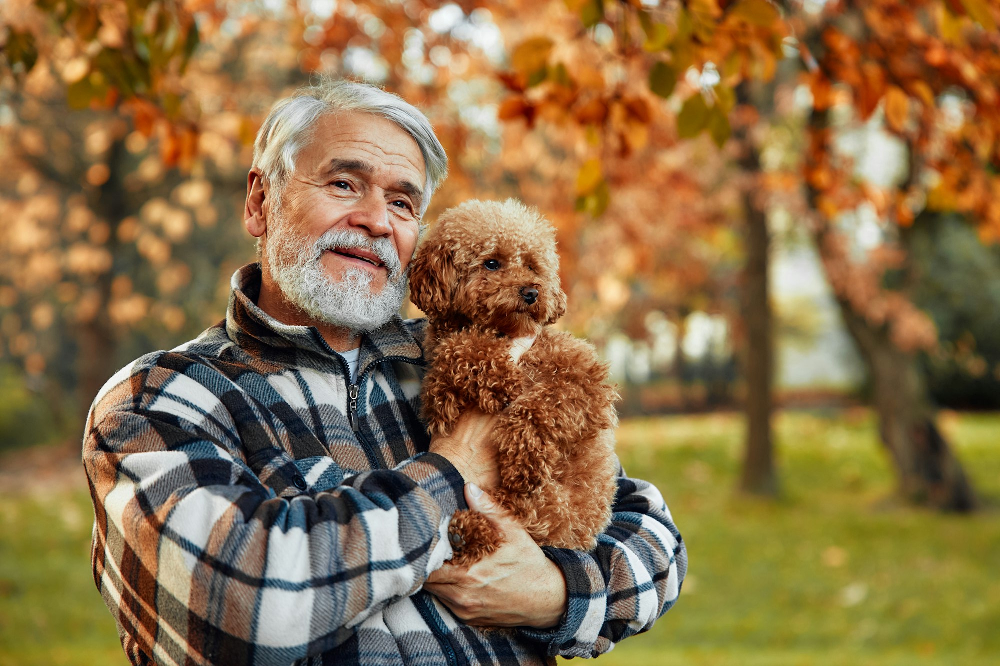 Senior couple walking in the park in autumn